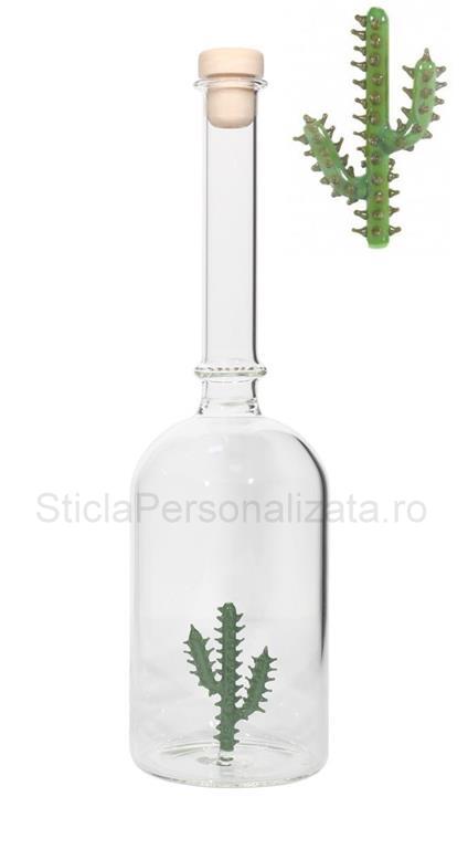 Sticla cu cactus