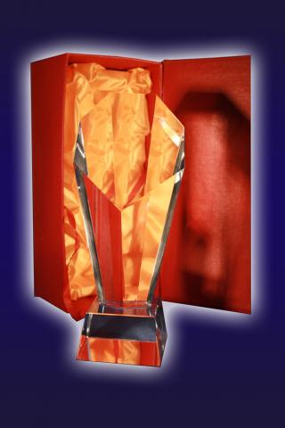 Trofeu sticla 8-7-24038