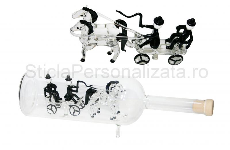 Trasura trasa de cai