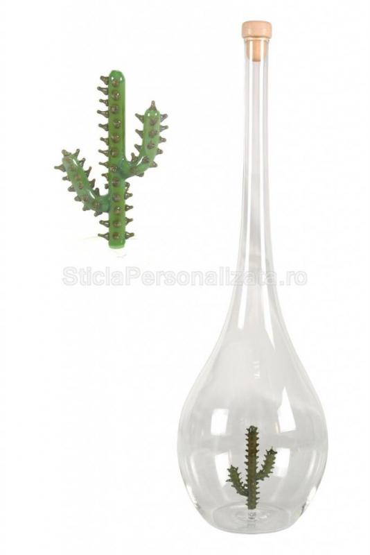 Sticla alungita cactus
