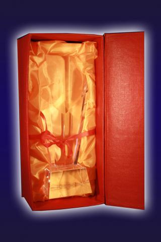 Trofeu sticla 8-7-24038