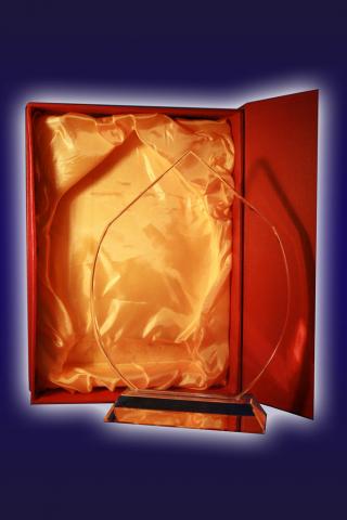 Trofeu sticla 8 3 5059