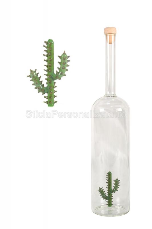 Sticla cactus