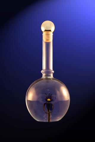 Balon cu Floare - SF 1